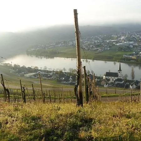 In Landhuisstijl Met Uitzicht Op De Moezel Prázdninový dům
