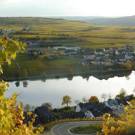 In Landhuisstijl Met Uitzicht Op De Moezel Piesport