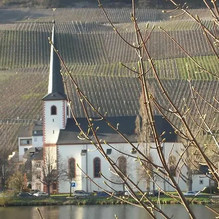 In Landhuisstijl Met Uitzicht Op De Moezel Piesport